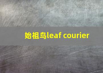 始祖鸟leaf courier